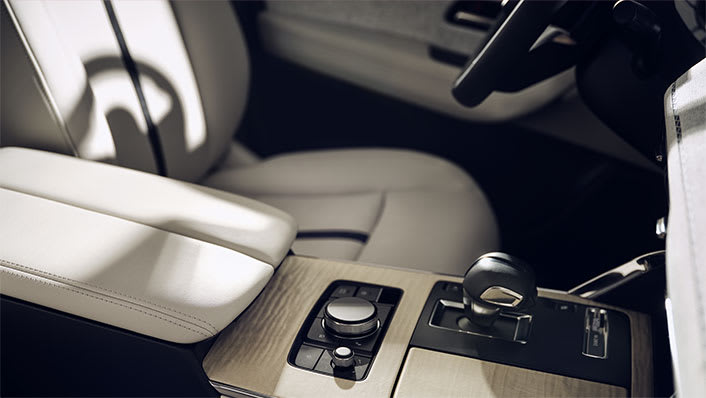 04-gallery-static-cx60-small-3