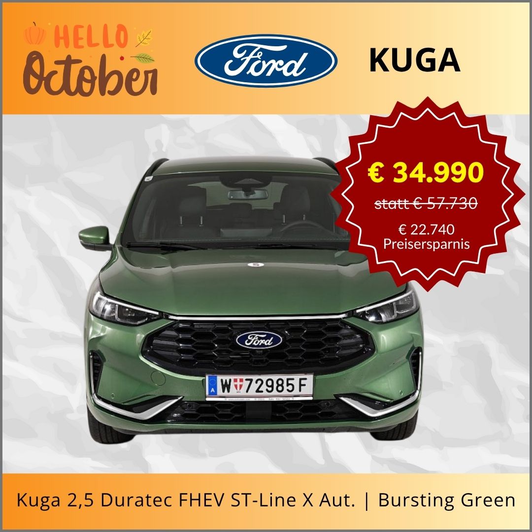 Auto-Schnäppchen Newsletter  10:2025 - 1