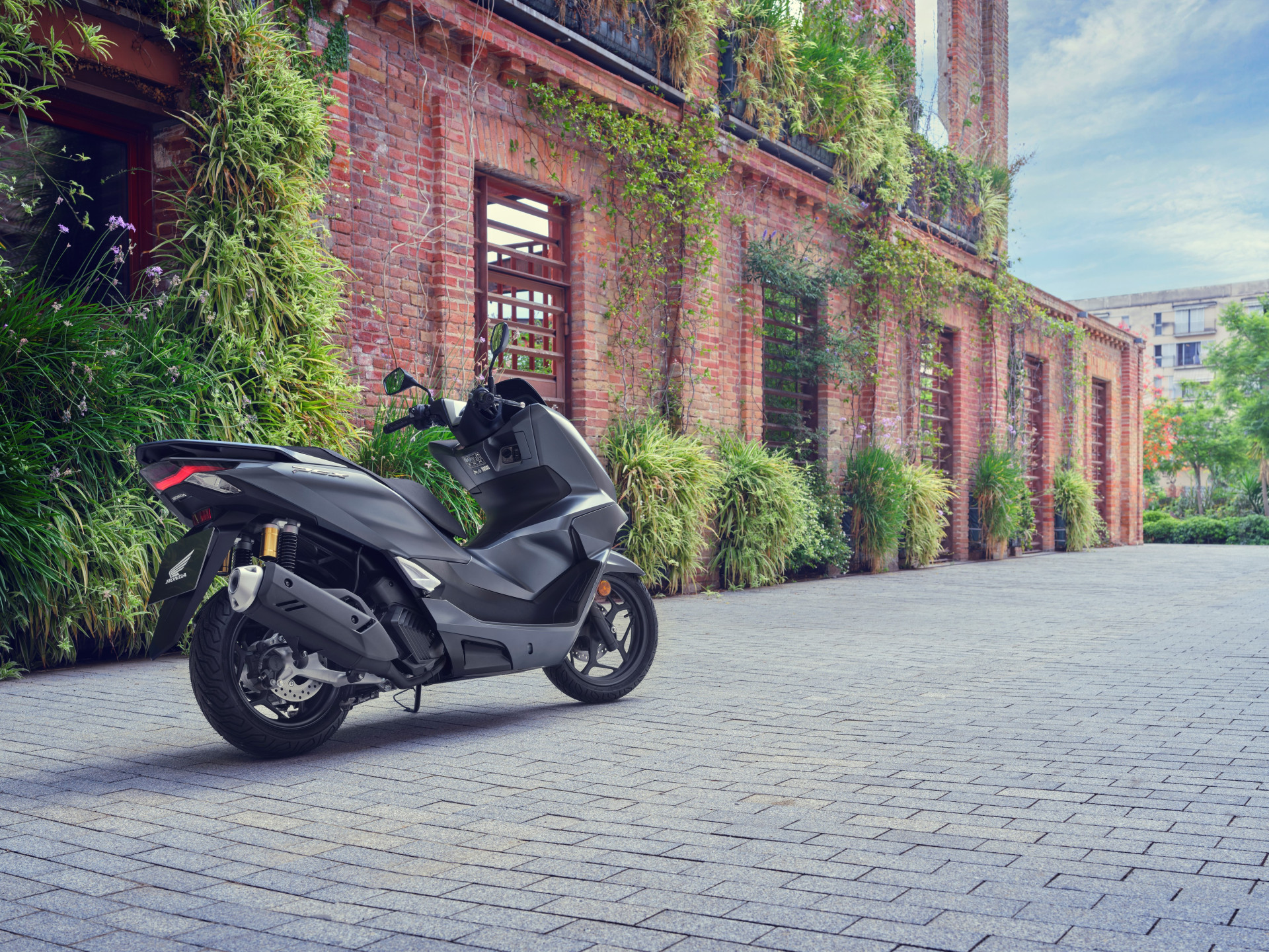 504690 25YM Honda PCX125