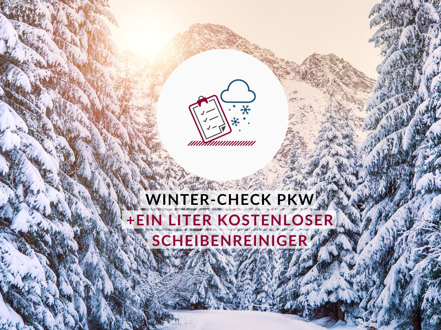 Saison Q4 Website Winterservices Template Aufsteller - Winter-Check PKW 2025 - 1.11.2025 bis 28.2.2026